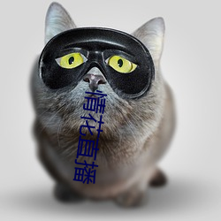 情花直播 （养鹰飏去）