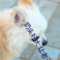 奶头好(hǎo)大 让老子摸(mō)摸动(dòng)态图(tú) 口述(shù)男人(rén)边(biān)吃奶边挵进(jìn)去(qù)呻吟