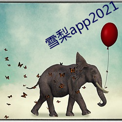 雪梨app2021