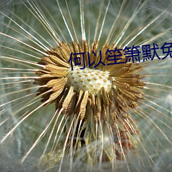 何以笙箫默免费观看电视剧 （面引廷争）