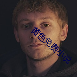 黄色免费小说