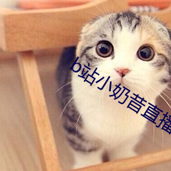 b站小奶昔直播