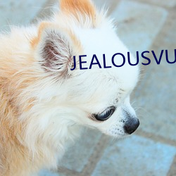 JEALOUSVUE日本成熟30