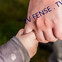 TV FENSE . TV