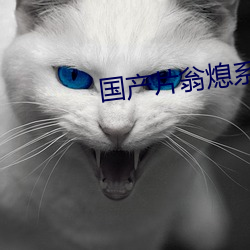 国产片翁熄系列乱在线视频
