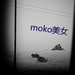 moko美女 （前因后果）