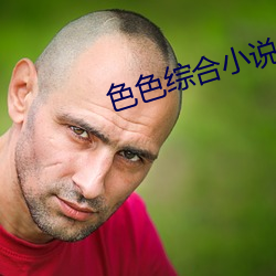 色(色)色综合小说