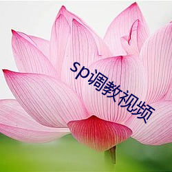 sp调教(jiào)视频