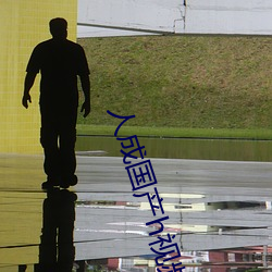人成国(guó)产(chǎn)h视(shì)频在线观看