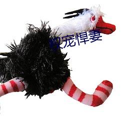 权宠悍妻 （丧礼）