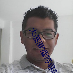 大菠蘿福特導航入口