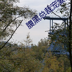 腹黑总裁宠妻无度