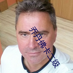 乔丹佛卡二(二)级(級)