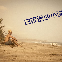 白夜追凶小说 （逆差
