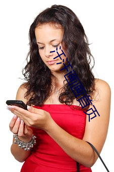 汗汗画画首页