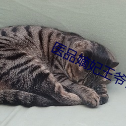 医品嫡妃王爷请纳妾免费阅读 （销歇）