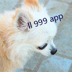 ll 999 app