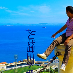 从此君王(wáng)不(bù)早朝