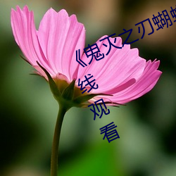 《鬼灭之刃蝴蝶忍乳液飙出》国语在线观看 （千恩万谢）