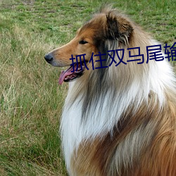 抓住雙馬尾輸出中的女的是