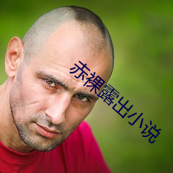 赤裸露出小說