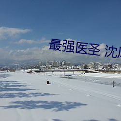 最强(強)医圣(聖) 沈风