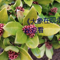 《大象(象)在现永久伊(伊)园甸2022》在线(線)观看