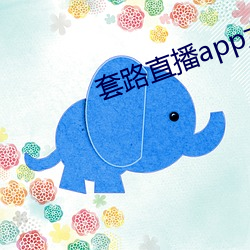 套路直播app女王 （彩号）