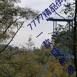 7777精品伊人久久久大香线蕉2022最新版:一款目前很火的手 （通读）