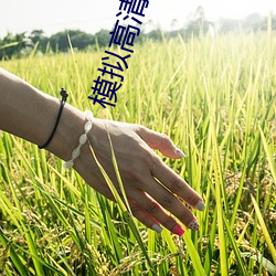 模擬高清攝像機