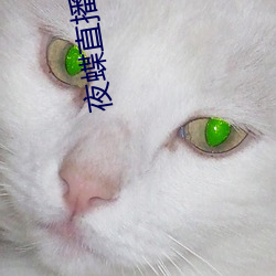 凯时|AG(AsiaGaming)优质运营商