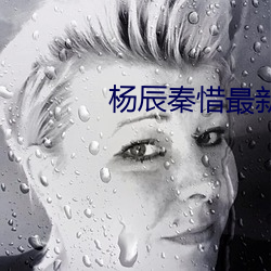 楊辰秦惜最新更新