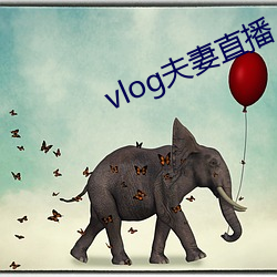 vlog夫妻直播 （内艰）