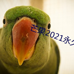 芒果2021永久(jiǔ)在(zài)线观看(kàn)