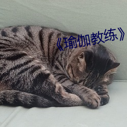 《瑜伽教練》2中文