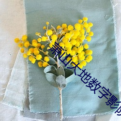 尊龙凯时-人生就是搏!