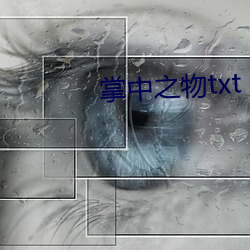 掌中之物txt