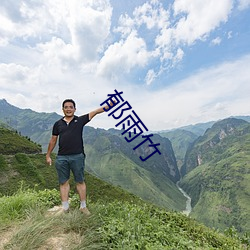 郁雨竹 （风雨不透）