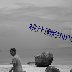 桃汁糜烂NPC