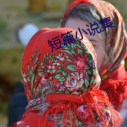 短篇小说集
