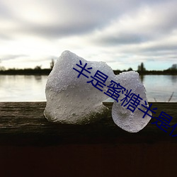 半是蜜糖(糖)半是伤小说(說)