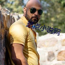 起(qǐ)点小说网