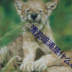 情波暗涌是什么意思(sī)