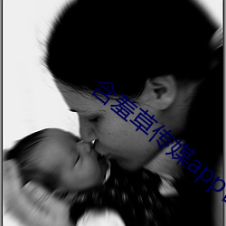 含羞草传媒app官网 （辐条）