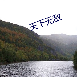 天下无敌(dí)