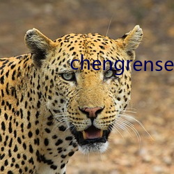 chengrensese