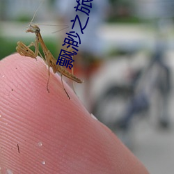 飘渺之旅