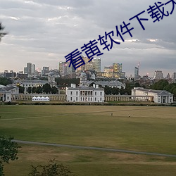 看(看)黄(黃)软件下载大全(全)