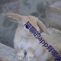 陪聊的app有哪些
