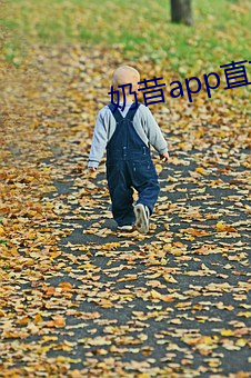 奶昔app直播下载